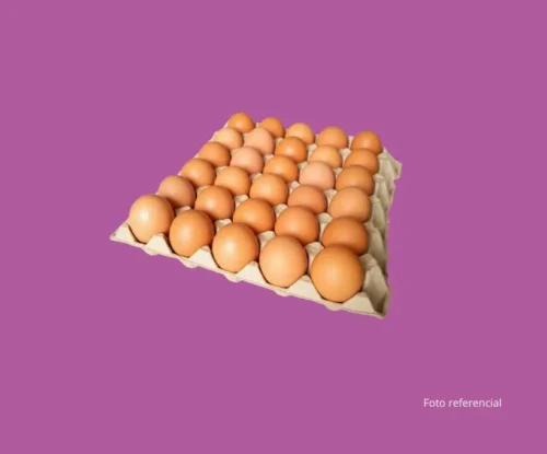 Carton de Huevos (30 unidades) Carton de Huevos (30 unidades)