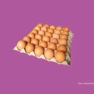 Cartón de Huevos (30 unidades)
