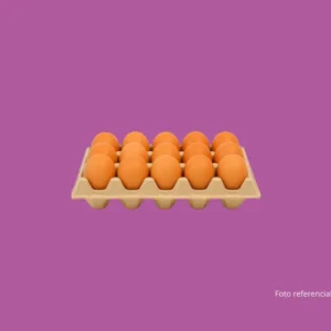 Medio cartón de Huevos (15 unidades)